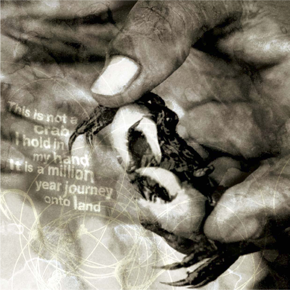 Design Work 11