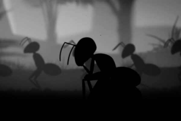 Stanley the Ant